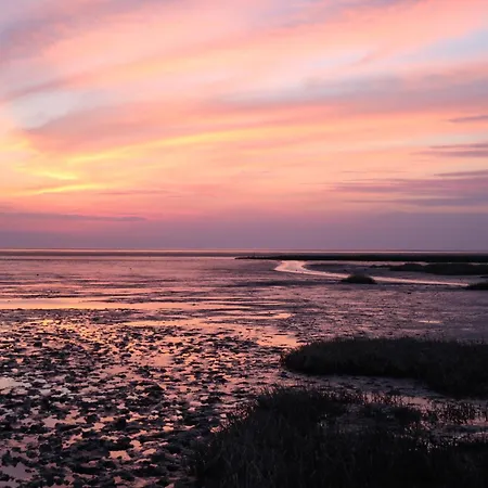 Sinfonia * Cappel-Neufeld